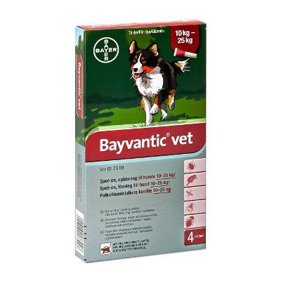 Bayvantic vet paikallisvaleluliuos 1250/250 mg koirille 10–25 kg 4 x 2.5 ml